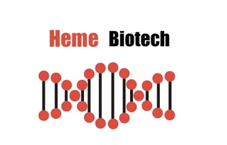 Java debugging & refactor (Heme Biotech)